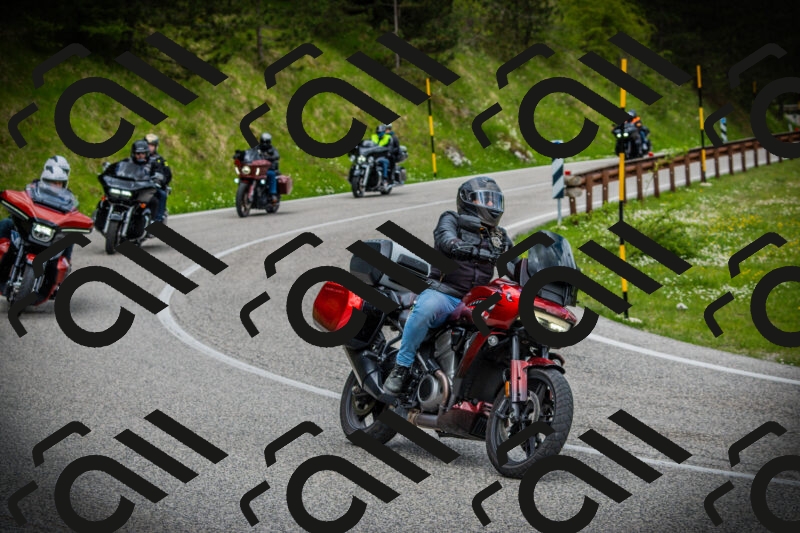 202505171057-DSC04509_c1_