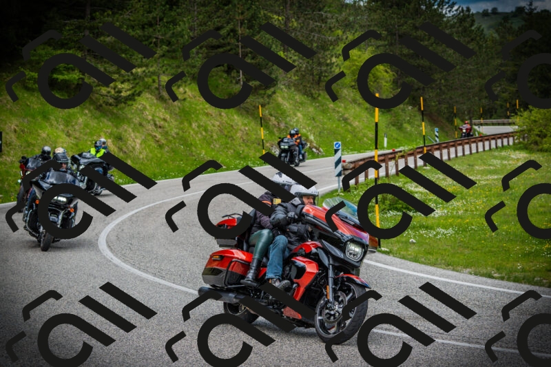 202505171057-DSC04511_c1_