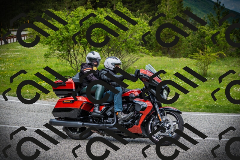 202505171057-DSC04512_c1_