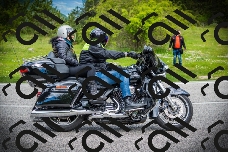 202505171057-DSC04518_c1_