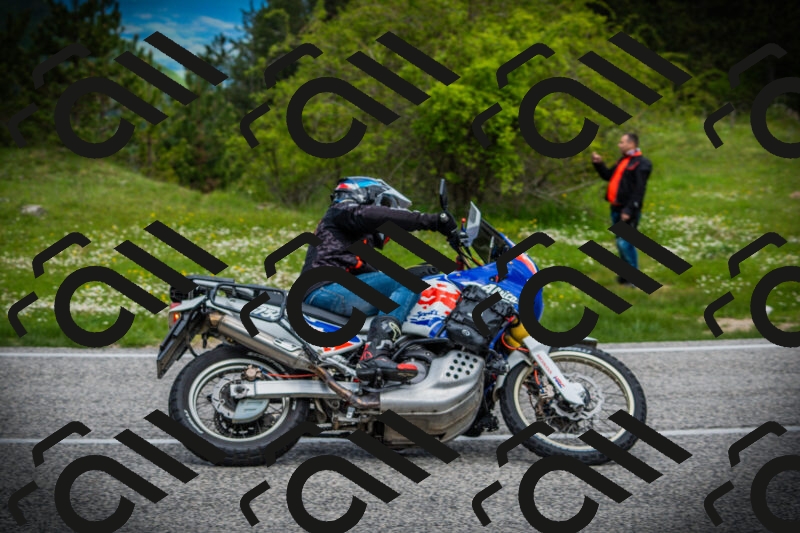 202505171058-DSC04534_c1_