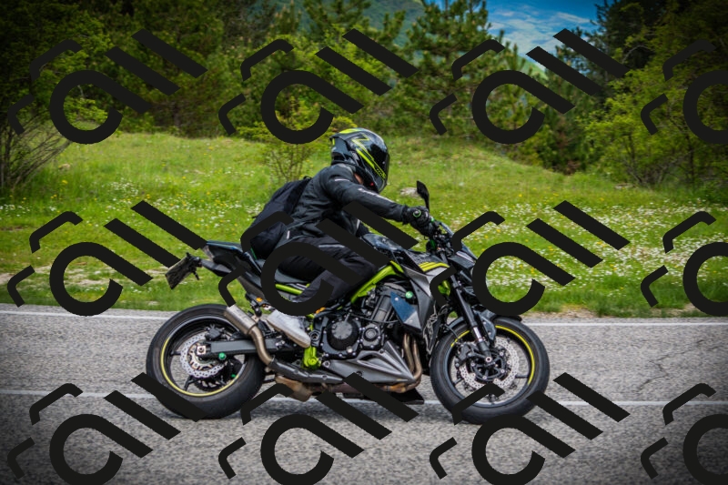 202505171058-DSC04538_c1_