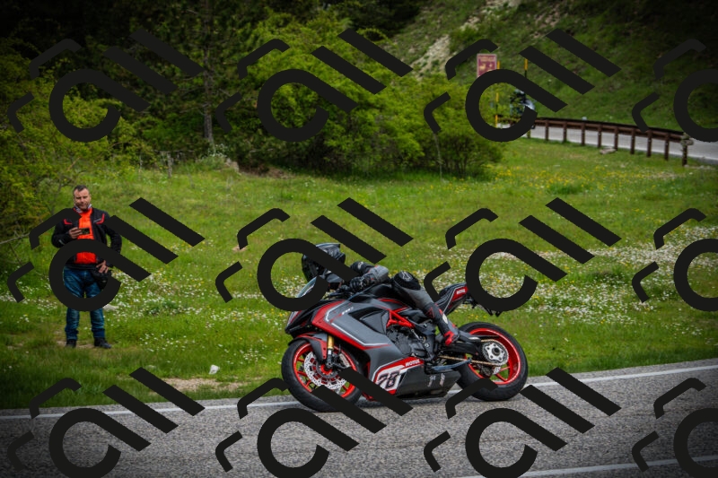 202505171100-DSC04552_c1_