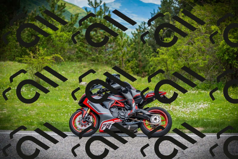 202505171100-DSC04553_c1_