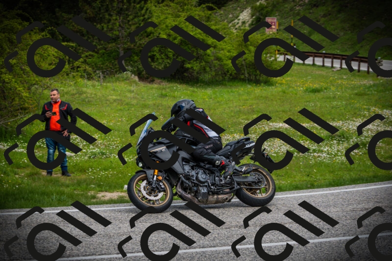 202505171100-DSC04554_c1_