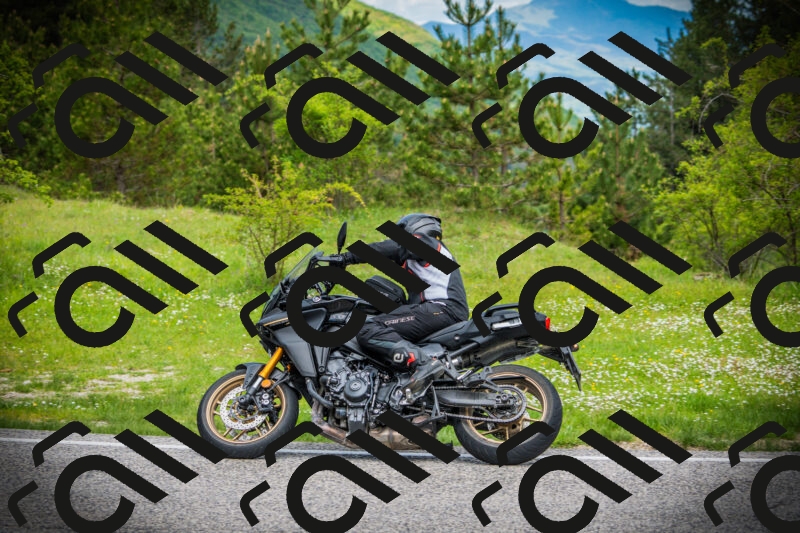 202505171100-DSC04555_c1_