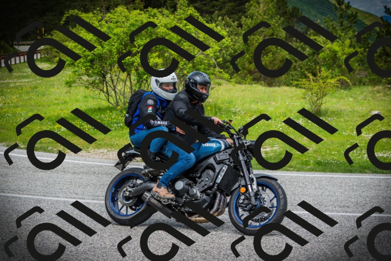 202505171100-DSC04572_c1_