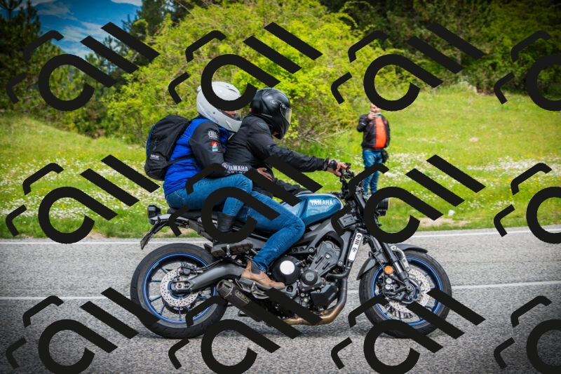 202505171100-DSC04573_c1_