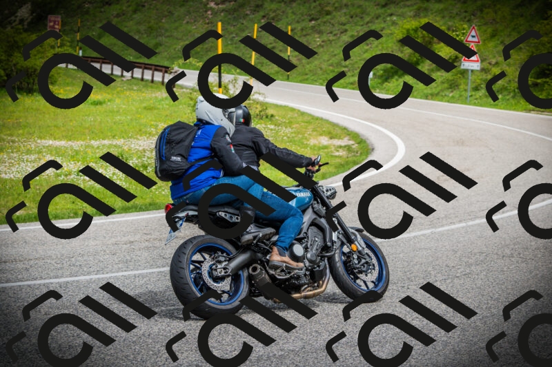 202505171100-DSC04574_c1_