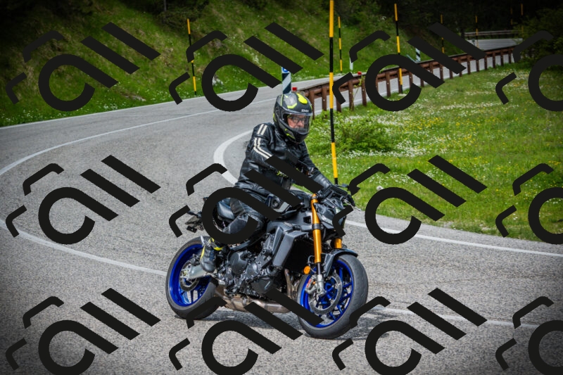 202505171100-DSC04576_c1_