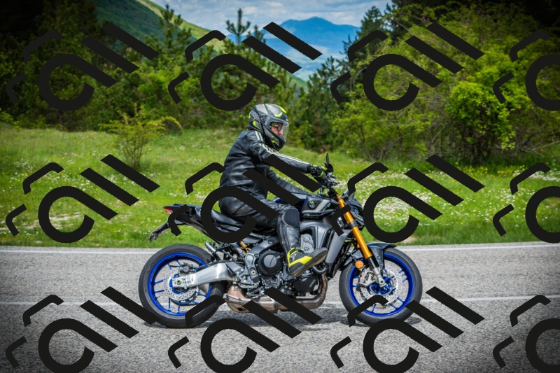 202505171100-DSC04577_c1_