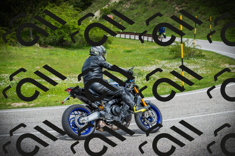 202505171100-DSC04578_c1_