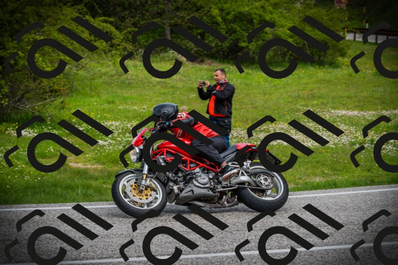 202505171101-DSC04591_c1_