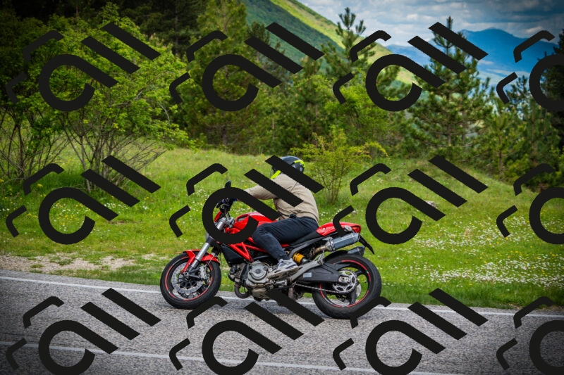 202505171102-DSC04599_c1_