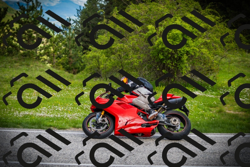 202505171106-DSC04611_c1_