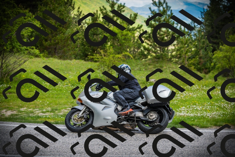 202505171107-DSC04629_c1_