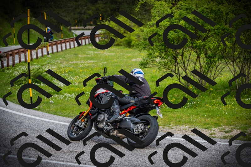 202505171107-DSC04654_c1_