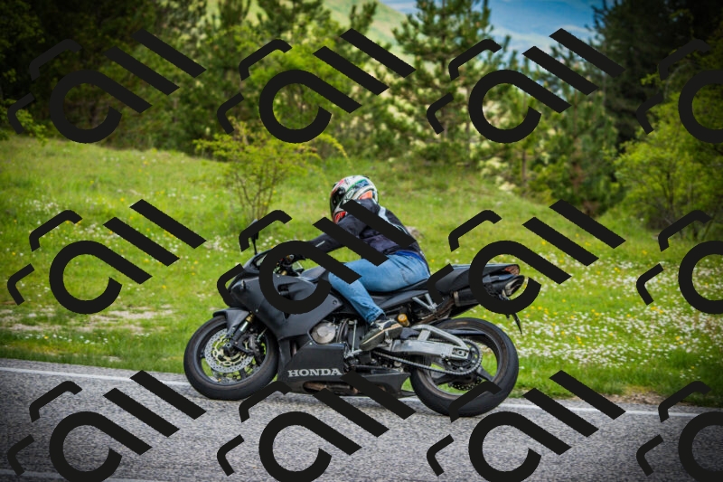 202505171108-DSC04674_c1_