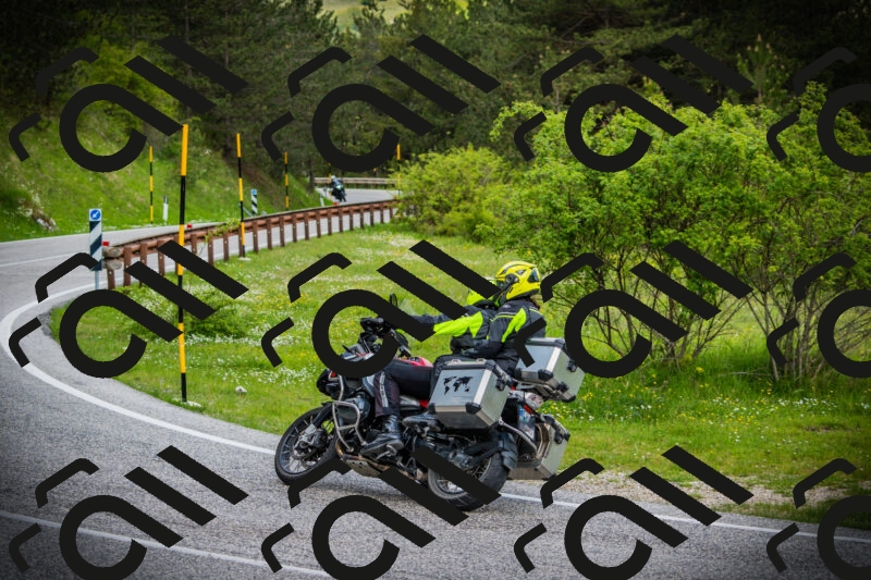 202505171109-DSC04681_c1_