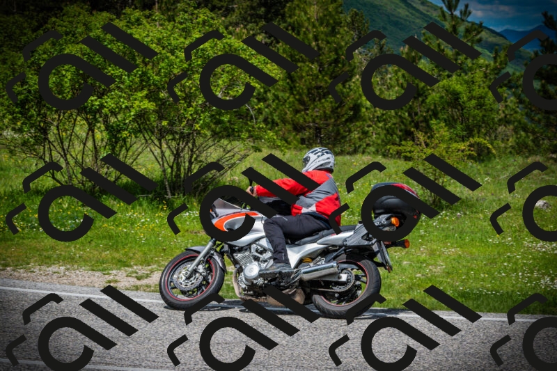 202505171111-DSC04697_c1_