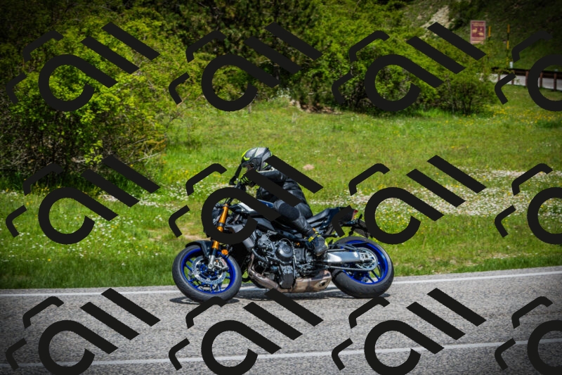 202505171111-DSC04708_c1_