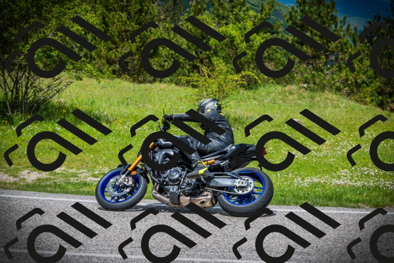 202505171111-DSC04709_c1_