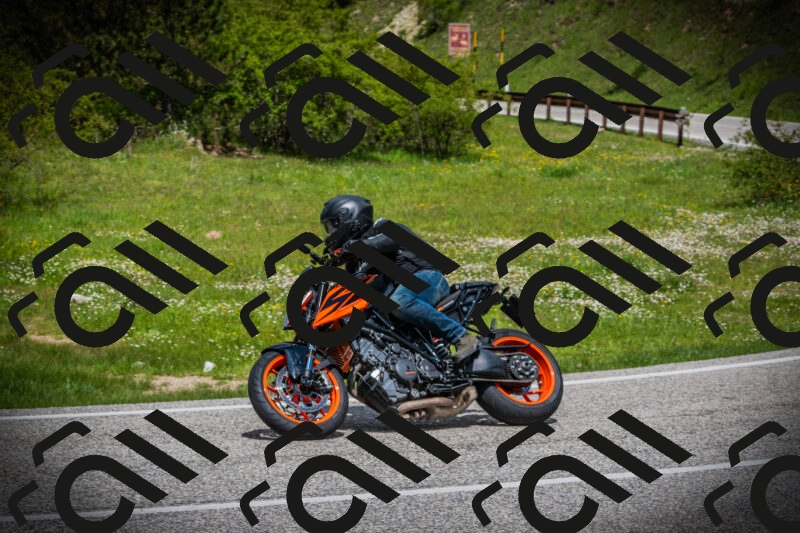 202505171113-DSC04725_c1_