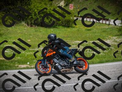 202505171113-DSC04725_c1_