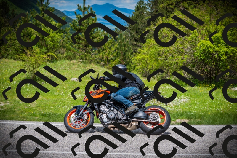 202505171113-DSC04726_c1_