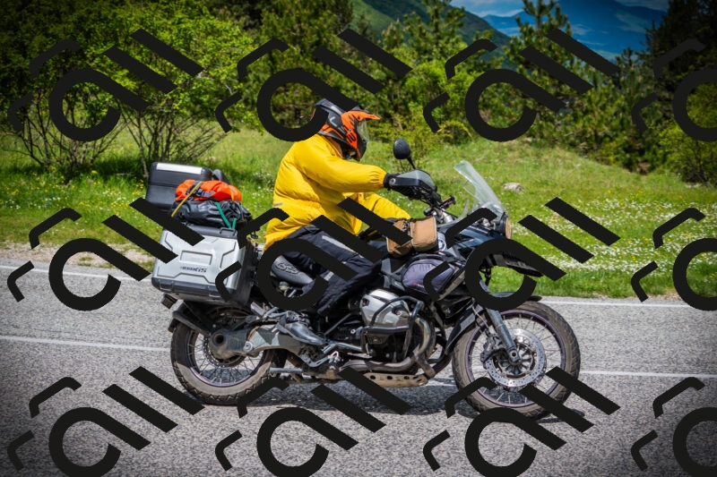 202505171113-DSC04727_c1_