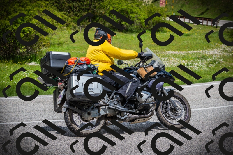 202505171113-DSC04728_c1_