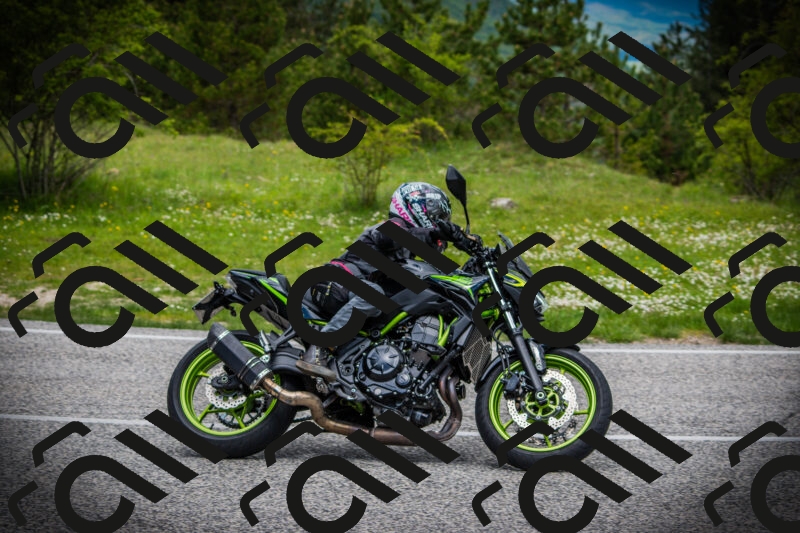 202505171117-DSC04746_c1_