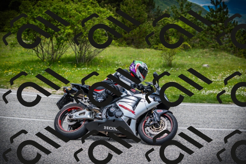 202505171120-DSC04753_c1_