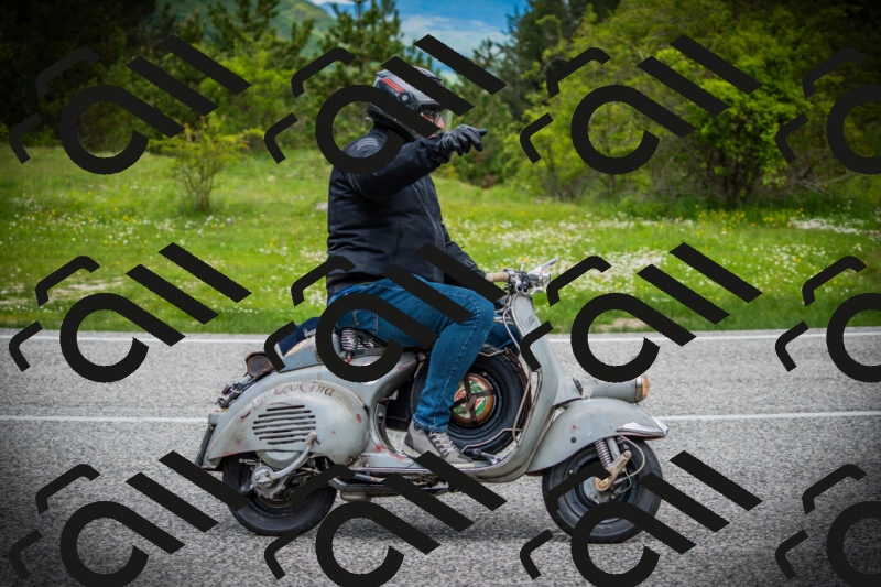 202505171121-DSC04763_c1_