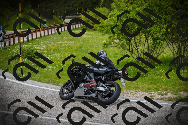 202505171122-DSC04777_c1_