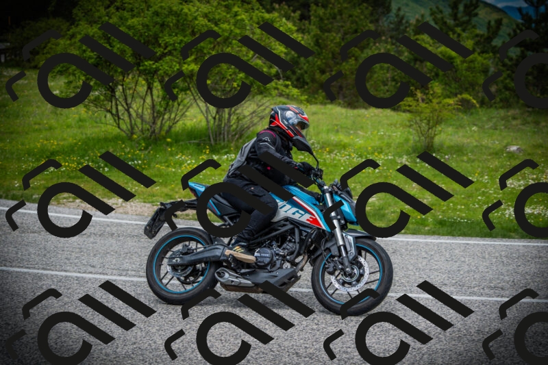 202505171123-DSC04779_c1_