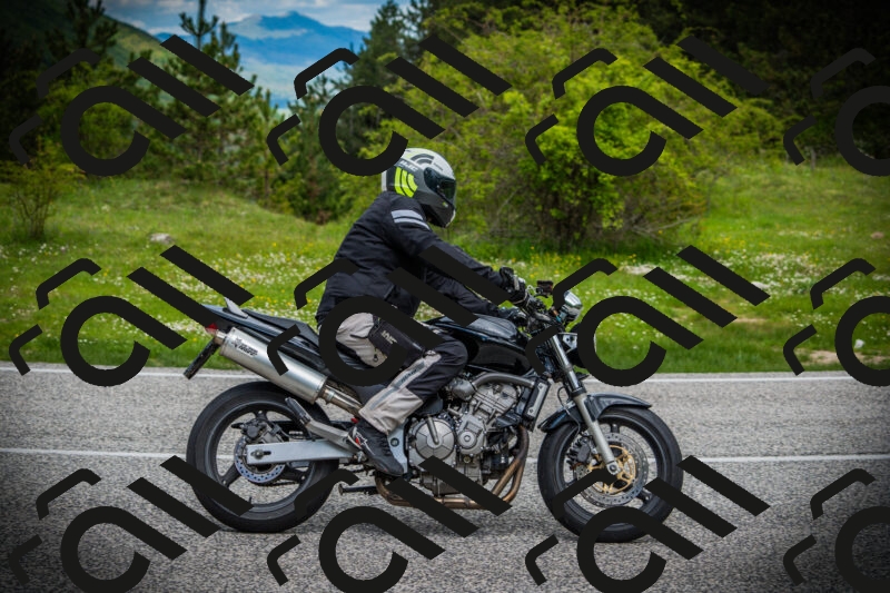 202505171123-DSC04781_c1_