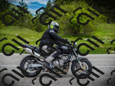 202505171123-DSC04781_c1_