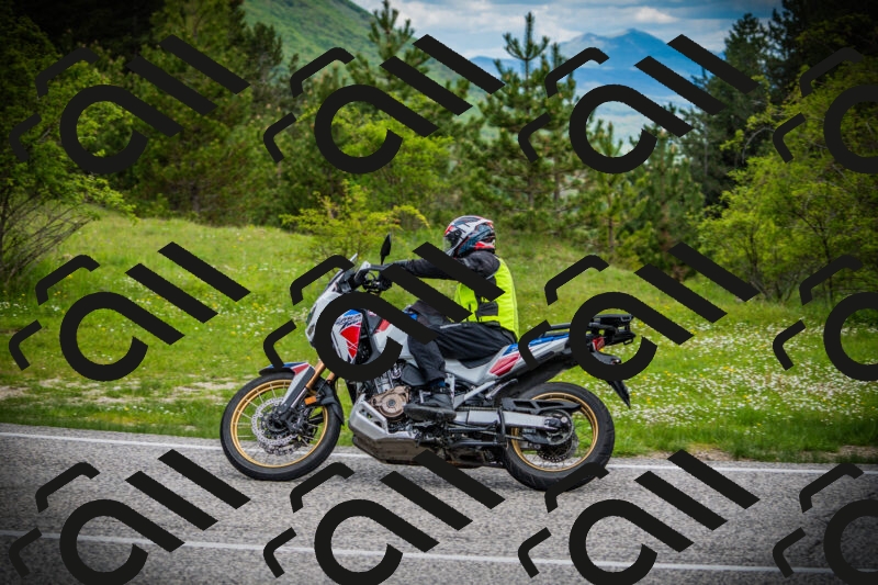 202505171124-DSC04798_c1_