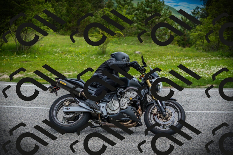 202505171126-DSC04818_c1_