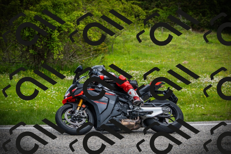 202505171126-DSC04823_c1_