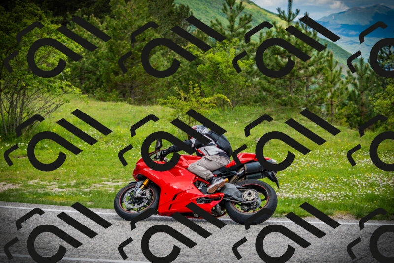 202505171127-DSC04837_c1_