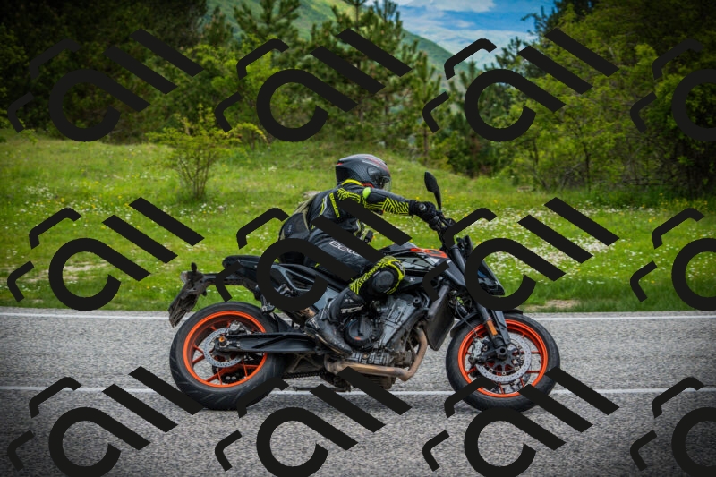 202505171127-DSC04845_c1_