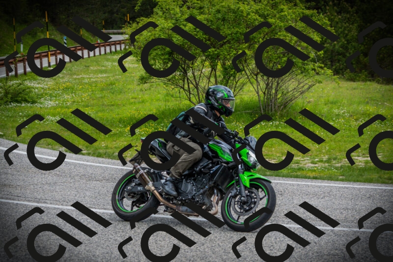 202505171127-DSC04854_c1_