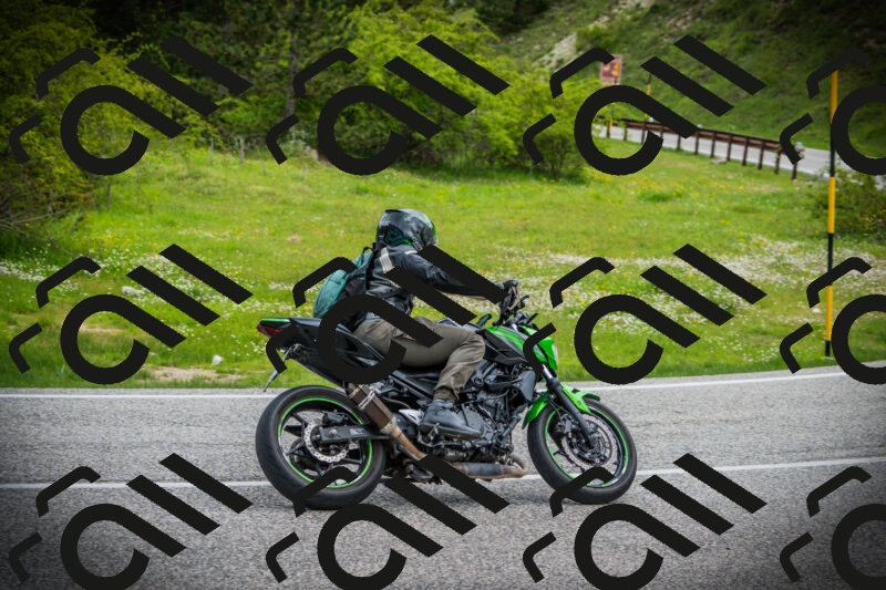 202505171127-DSC04855_c1_