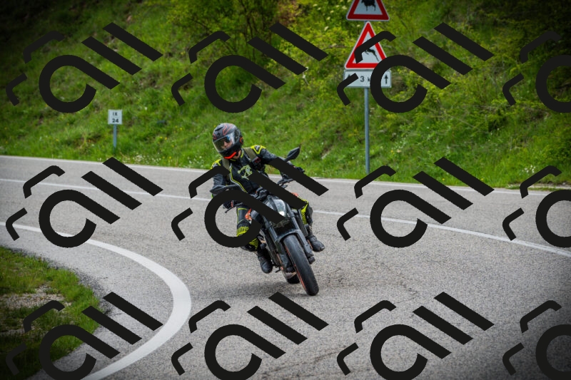 202505171129-DSC04858_c1_