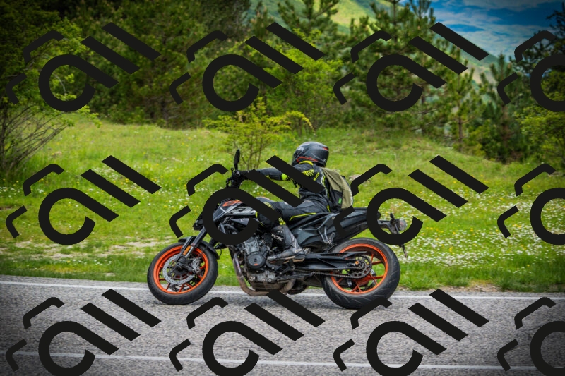 202505171129-DSC04861_c1_