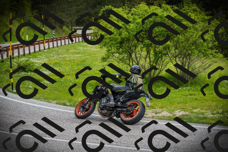 202505171129-DSC04862_c1_