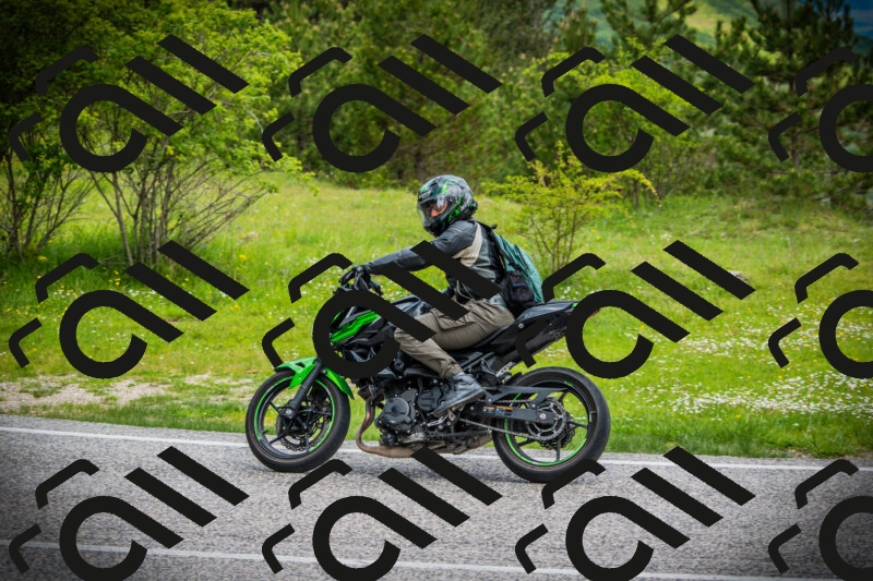 202505171129-DSC04875_c1_