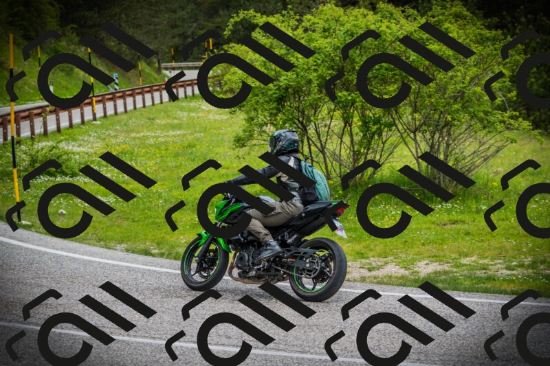 202505171129-DSC04876_c1_